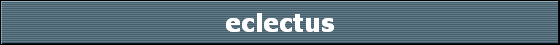 eclectus
